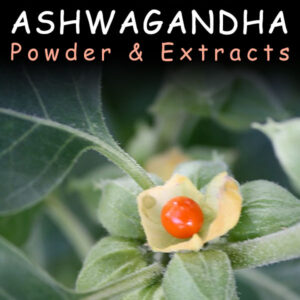 Ashwagandha for Resetting Kratom Tolerance