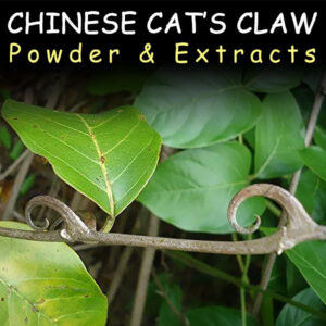 Chinese Cat's Claw for Resetting Kratom Tolerance